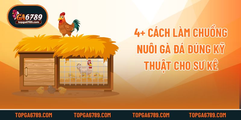 4+ Cách Làm Chuồng Nuôi Gà Đá Đúng Kỹ Thuật Cho Sư Kê