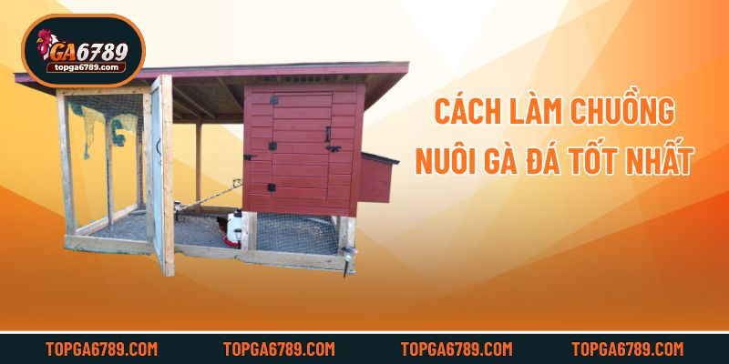 Cách làm chuồng nuôi gà đá tốt nhất
