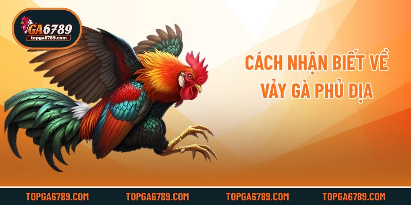 Cách nhận biết về vảy gà phủ địa
