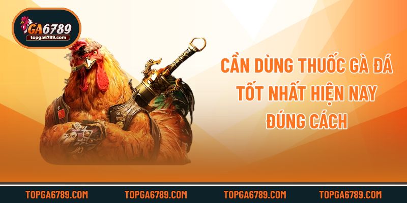 Cần dùng thuốc gà đá tốt nhất hiện nay đúng cách
