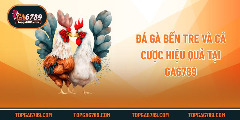 Đá gà Bến Tre và cá cược hiệu quả tại Ga6789