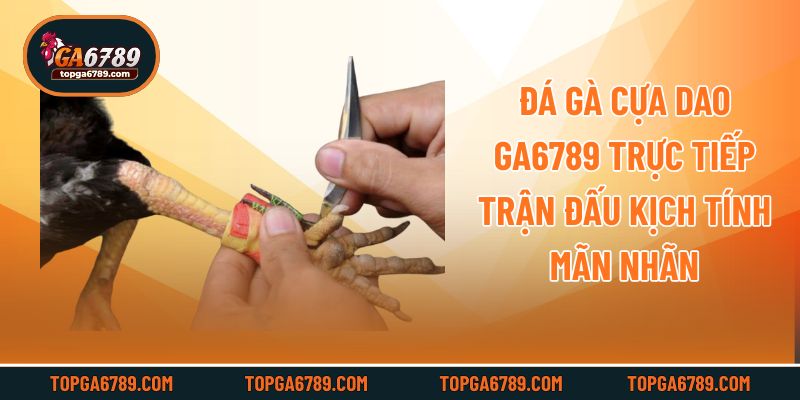 Đá Gà Cựa Dao - Ga6789 Trực Tiếp Trận Đấu Kịch Tính Mãn Nhãn