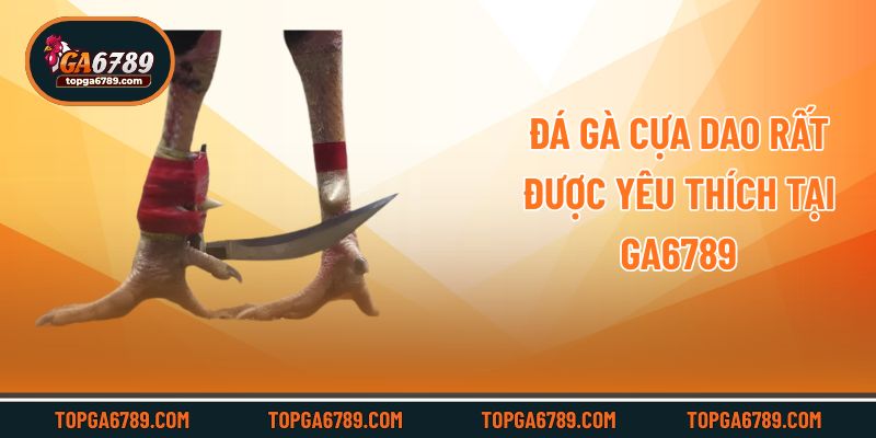 Đá gà cựa dao rất được yêu thích tại Ga6789