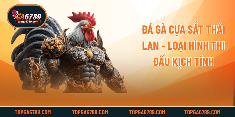 Đá Gà Cựa Sắt Thái Lan - Loại Hình Thi Đấu Kịch Tính