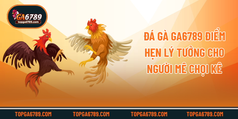 Đá gà Ga6789 - Điểm hẹn lý tưởng cho người mê chọi kê
