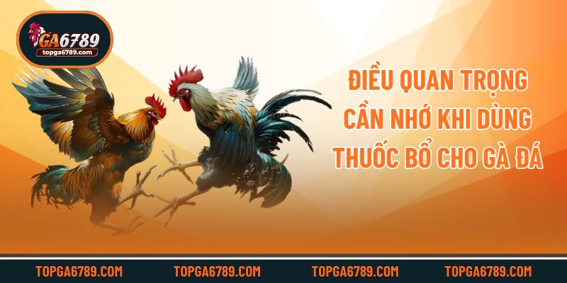 Điều quan trọng cần nhớ khi dùng thuốc bổ cho gà đá