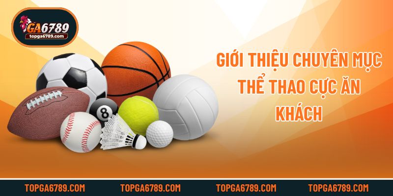 Giới thiệu chuyên mục thể thao cực ăn khách