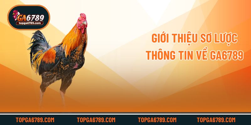 Giới thiệu sơ lược thông tin về Ga6789