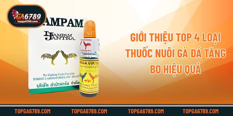 Giới thiệu top 4 loại thuốc nuôi gà đá tăng bo hiệu quả