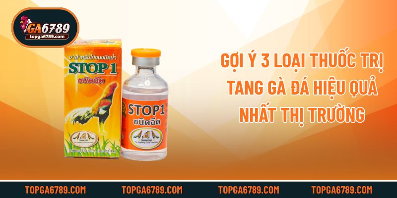 Gợi ý 3 loại thuốc trị tang gà đá hiệu quả nhất thị trường
