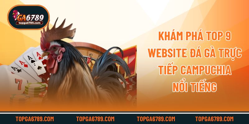 Khám phá top 9 website đá gà trực tiếp campuchia nổi tiếng