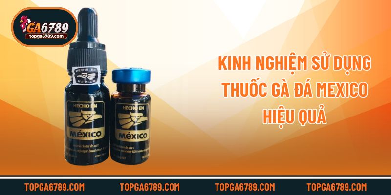 Kinh nghiệm sử dụng thuốc gà đá Mexico hiệu quả
