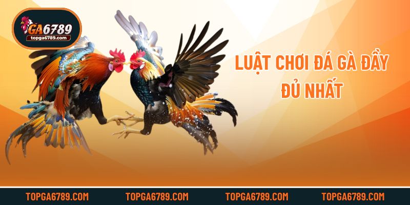 Luật chơi đá gà đầy đủ nhất