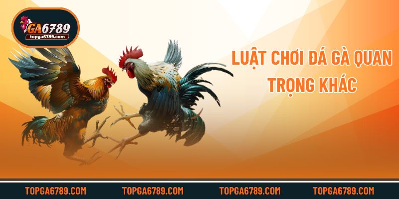 Luật chơi đá gà quan trọng khác