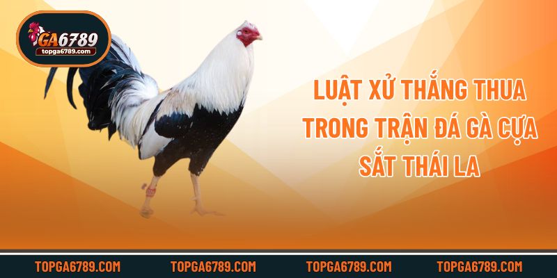 Luật xử thắng thua trong trận đá gà cựa sắt Thái Lan