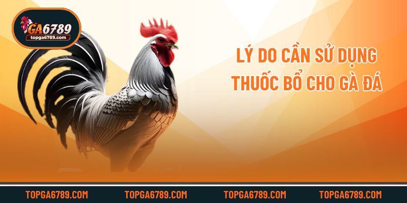Lý do cần sử dụng thuốc bổ cho gà đá