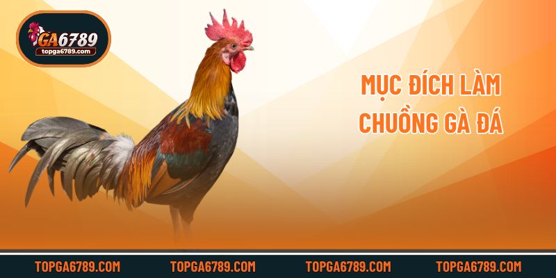 Mục đích làm chuồng gà đá