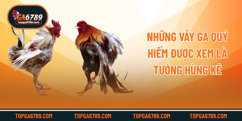 Những vảy gà quý hiếm được xem là tướng hùng kê
