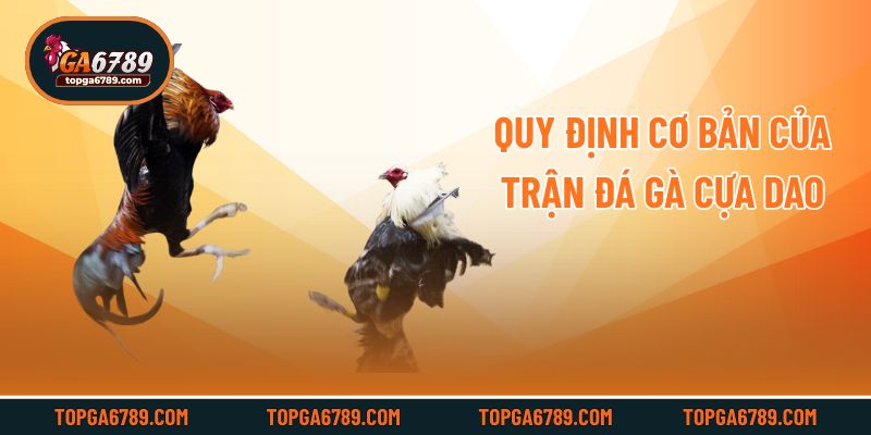 Quy định cơ bản của trận đá gà cựa dao