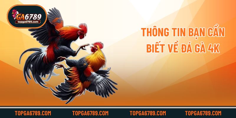 Thông tin bạn cần biết về đá gà 4k