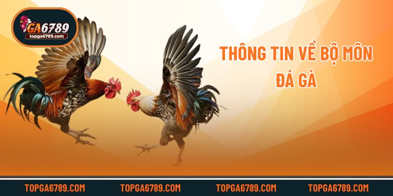 Thông tin về bộ môn đá gà