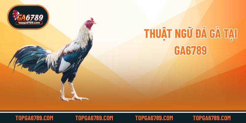 Thuật ngữ đá gà tại Ga6789