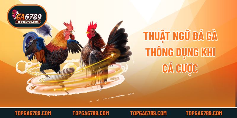 Thuật ngữ đá gà thông dụng khi cá cược