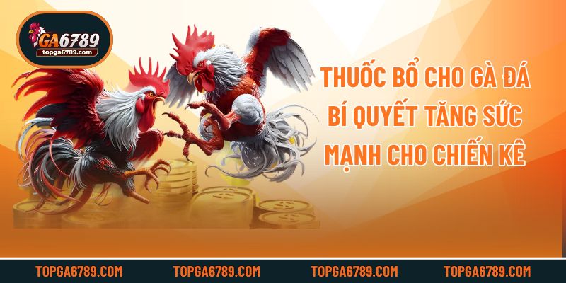 Thuốc Bổ Cho Gà Đá - Bí Quyết Tăng Sức Mạnh Cho Chiến Kê