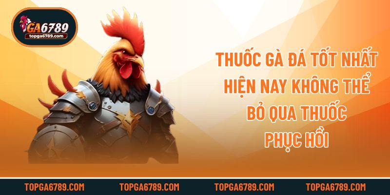 Thuốc gà đá tốt nhất hiện nay không thể bỏ qua thuốc phục hồi