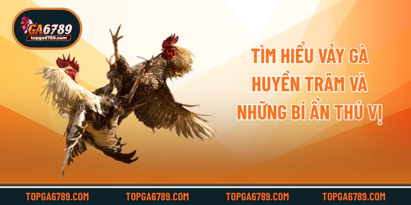 Tìm hiểu vảy gà huyền trâm và những bí ẩn thú vị