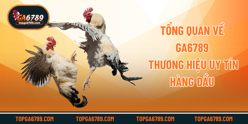 Tổng quan về Ga6789 - Thương hiệu uy tín hàng đầu