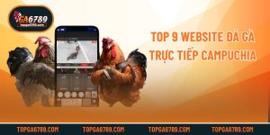 Top 9 Website Đá Gà Trực Tiếp Campuchia Hot Nhất Hiện Nay Hot Nhất Hiện Nay