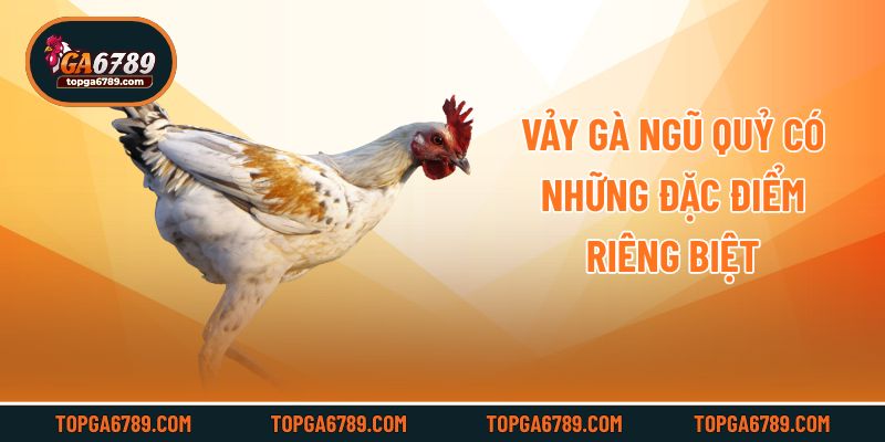 Vảy gà ngũ quỷ có những đặc điểm riêng biệt