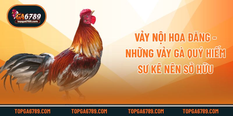 Vảy nội hoa đăng - Những vảy gà quý hiếm sư kê nên sở hữu