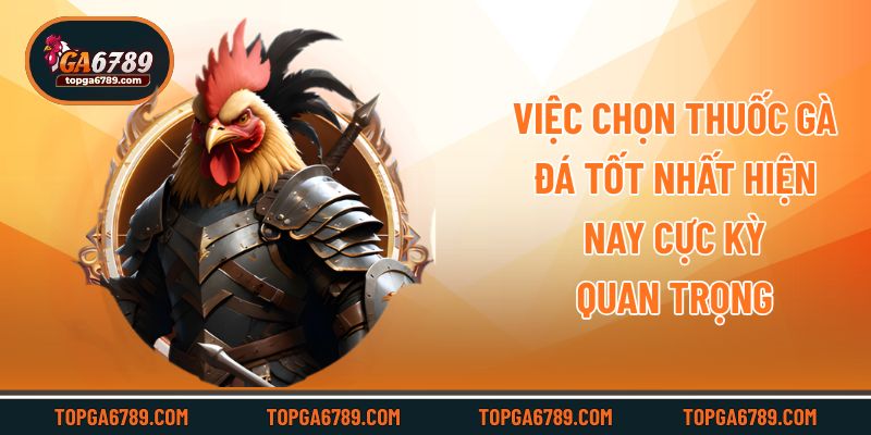 Việc chọn thuốc gà đá tốt nhất hiện nay cực kỳ quan trọng