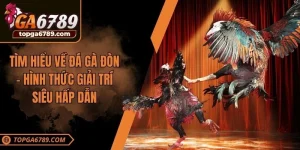 đá gà đòn