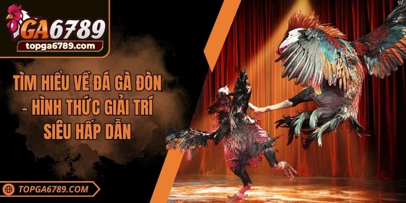 đá gà đòn