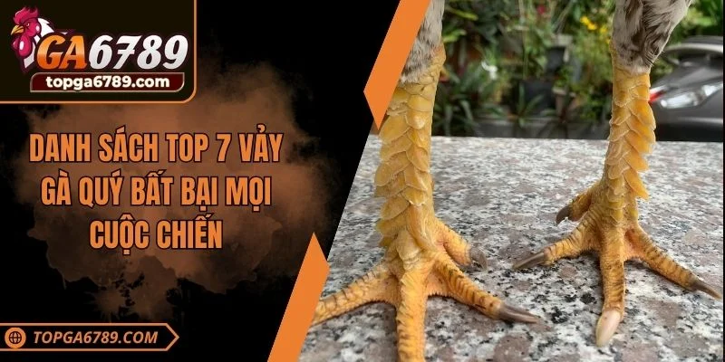 Danh sách top 7 vảy gà quý bất bại mọi cuộc chiến
