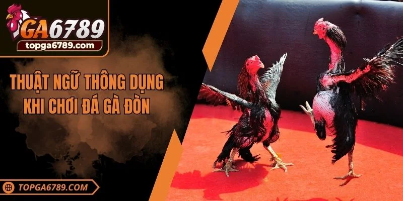 Thuật ngữ thông dụng khi chơi đá gà đòn