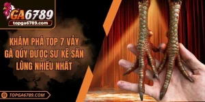 top 7 vảy gà quý