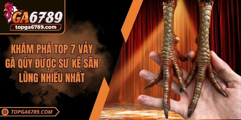 top 7 vảy gà quý